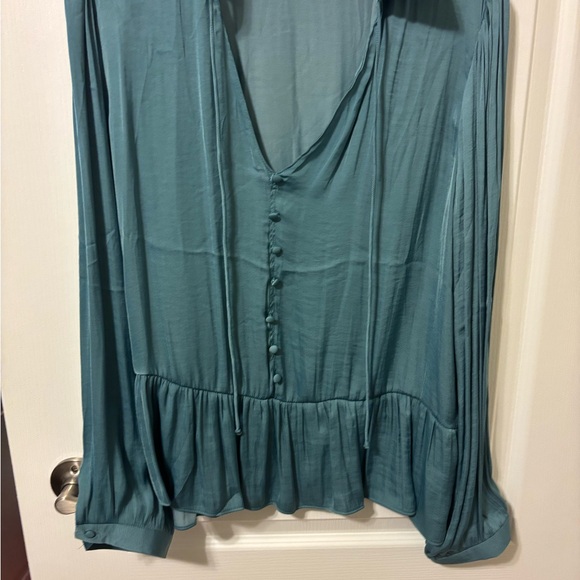 Naked Zebra Deep Teal Blouse - Picture 2 of 6